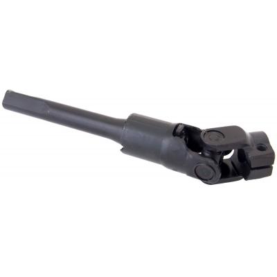 ASN-P12