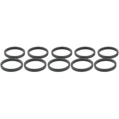 RINGWH-017-PCS10