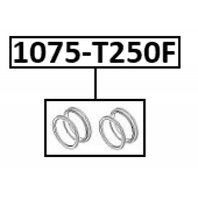FEBEST 1075-T250F