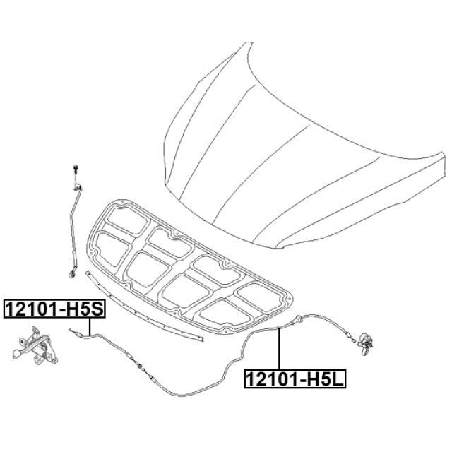 FEBEST 12101-H5L