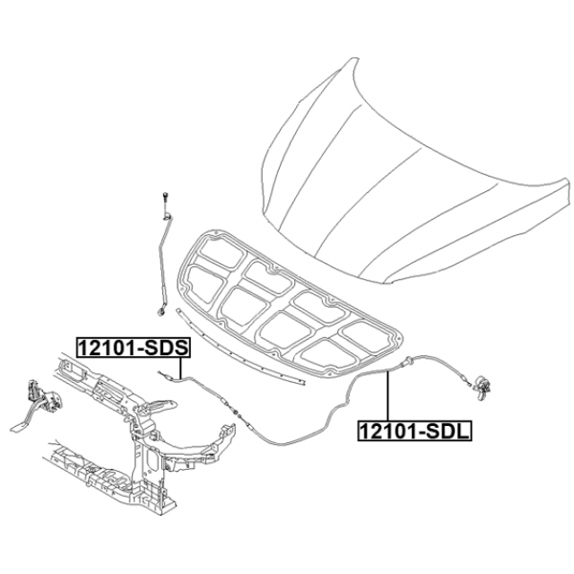 FEBEST 12101-SDL