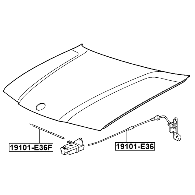 FEBEST 19101-E36F
