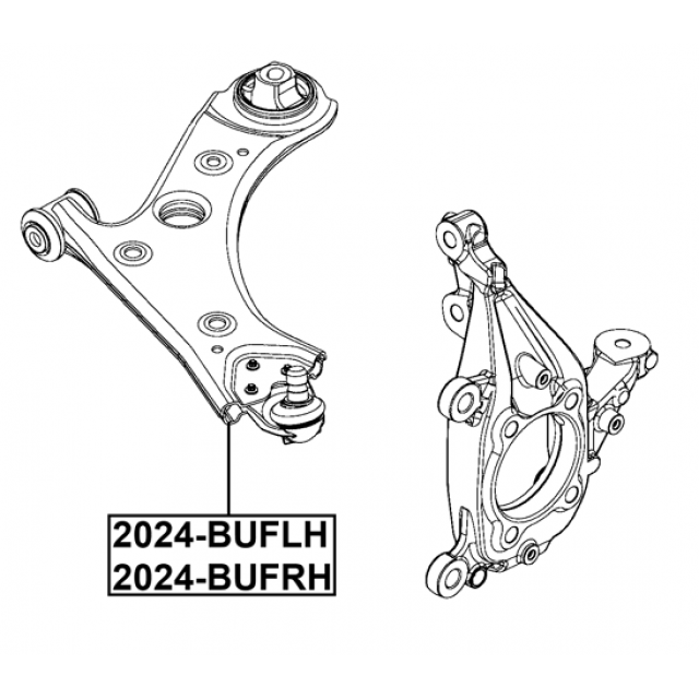 FEBEST 2024-BUFLH