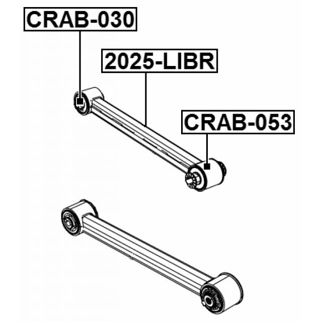FEBEST 2025-LIBR