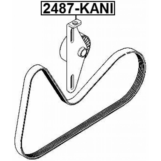 FEBEST 2487-KANI