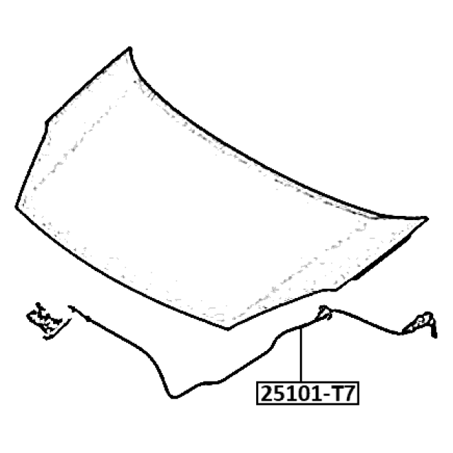 FEBEST 25101-T7