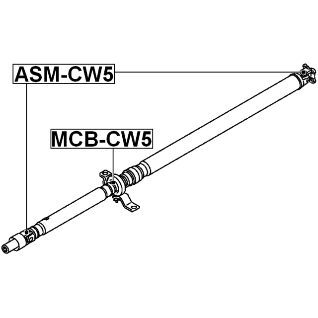 FEBEST ASM-CW5
