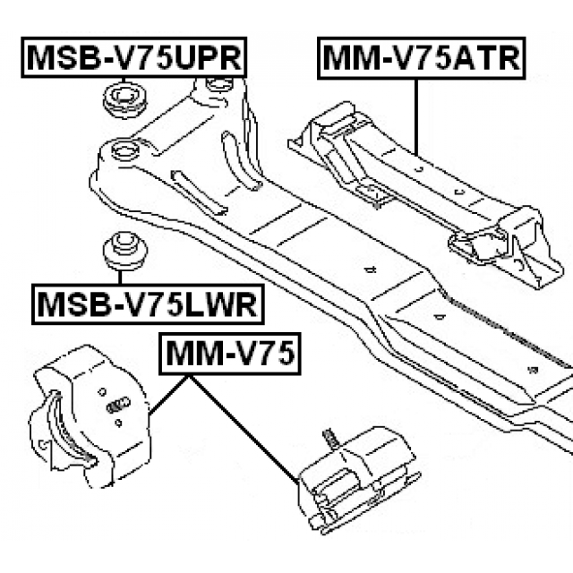 FEBEST MSB-V75LWR