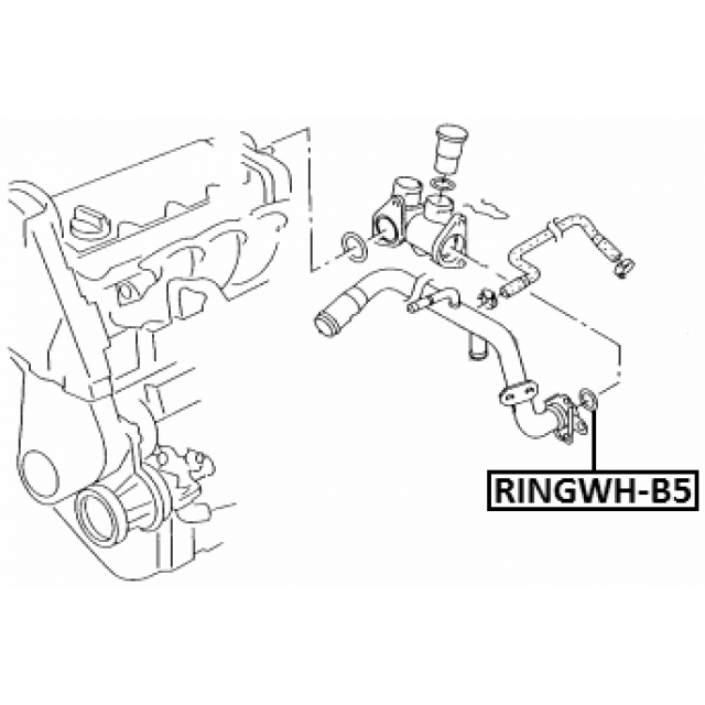 FEBEST RINGWH-B5