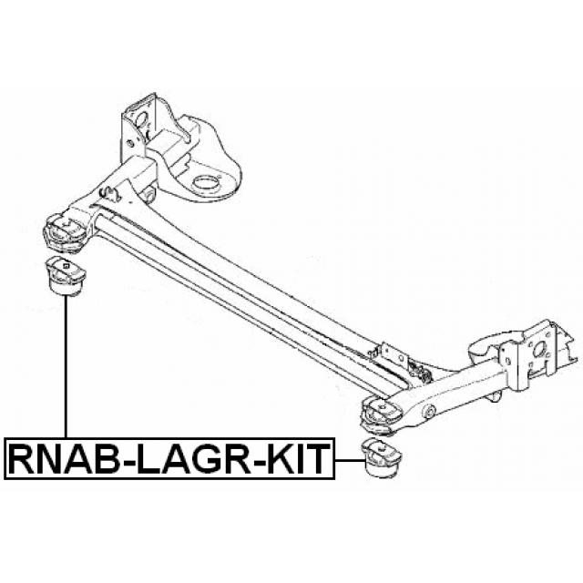 FEBEST RNAB-LAGR-KIT
