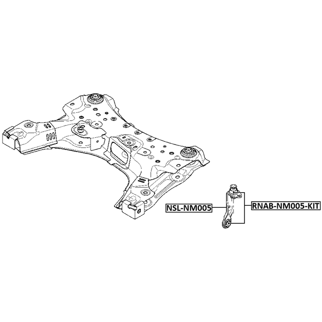 FEBEST RNAB-NM005-KIT
