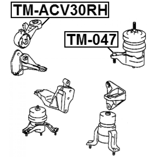 FEBEST TM-ACV30RH