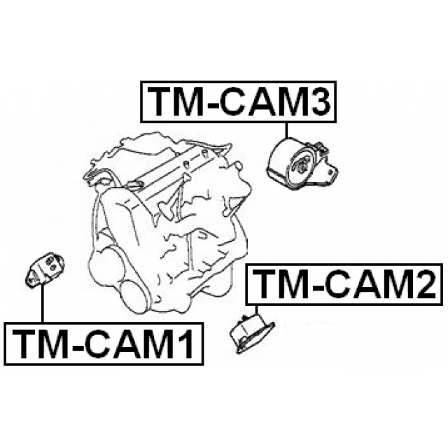 FEBEST TM-CAM2