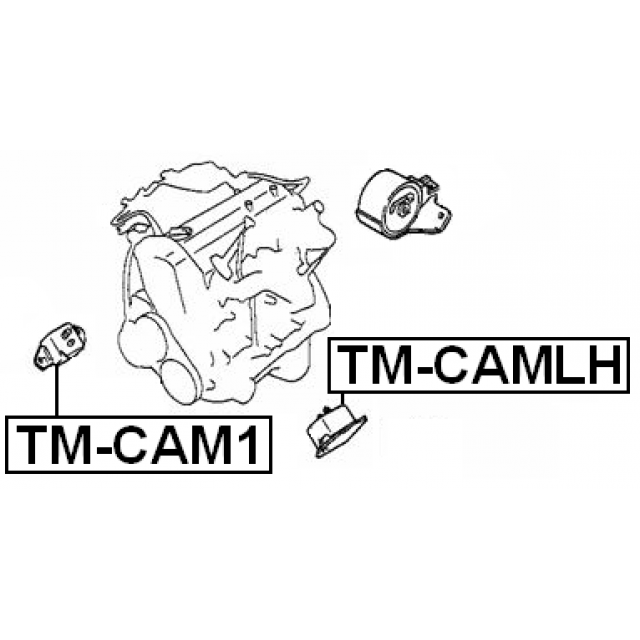 FEBEST TM-CAMLH