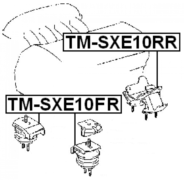 FEBEST TM-SXE10FR