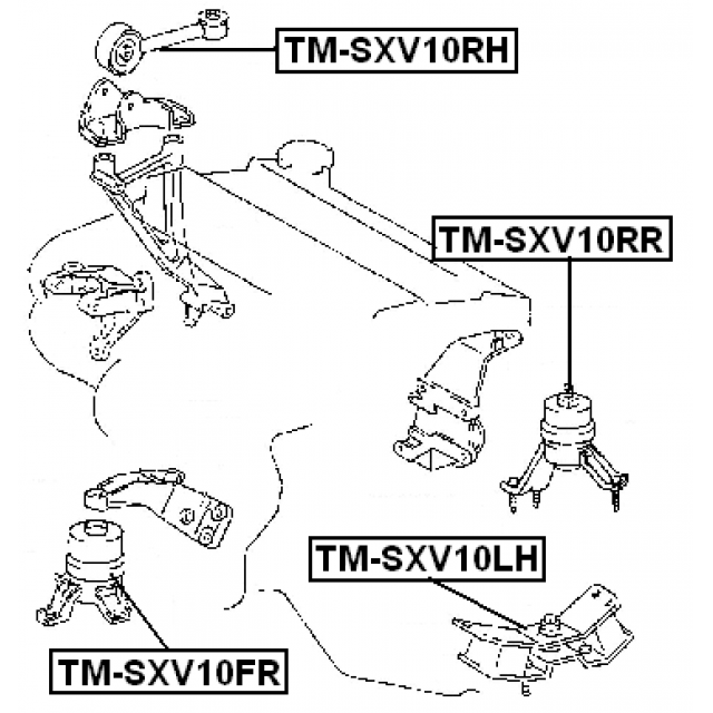 FEBEST TM-SXV10RH